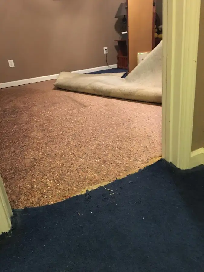 Carpet pad removal revealing water damage during Drying & Dehumidification in Leonia