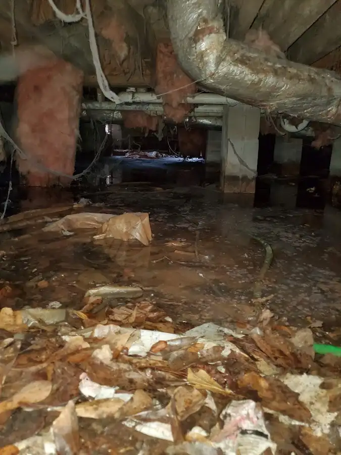 Crawl space flood assessment for Leak Detection & Repair in Leonia